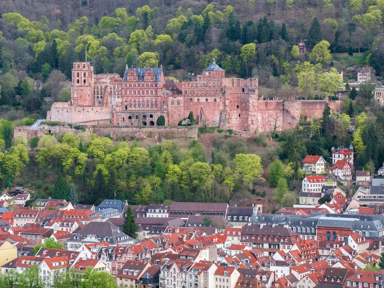 heidelberg, heidelberger schloss, fortress-3312229.jpg